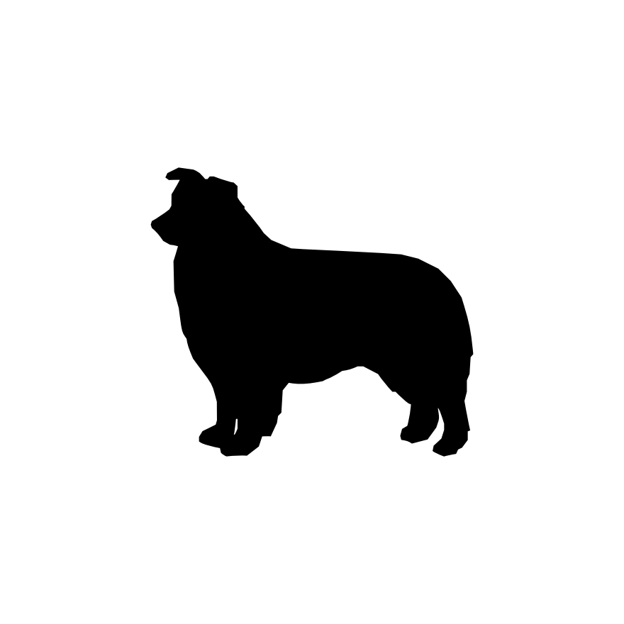 Australian Shepherd