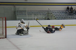 12646769_1149210288446029_6069280641578742756_o