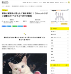 家族と獣医師が協力して猫を笑顔に!【キャットリボン運動 1stイベント@