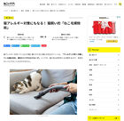 猫アレルギー対策にもなる! 猫飼い的「ねこ毛掃除術」