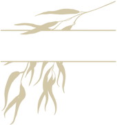 Zweig Vektorgrafik