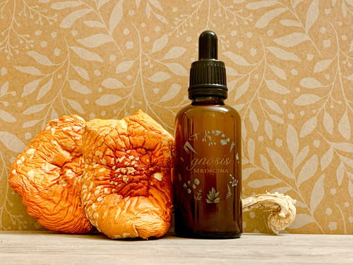 Dream Serum- Amanita Muscaria Tincture | Artemis Moon