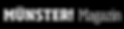 muenster-magazin.png