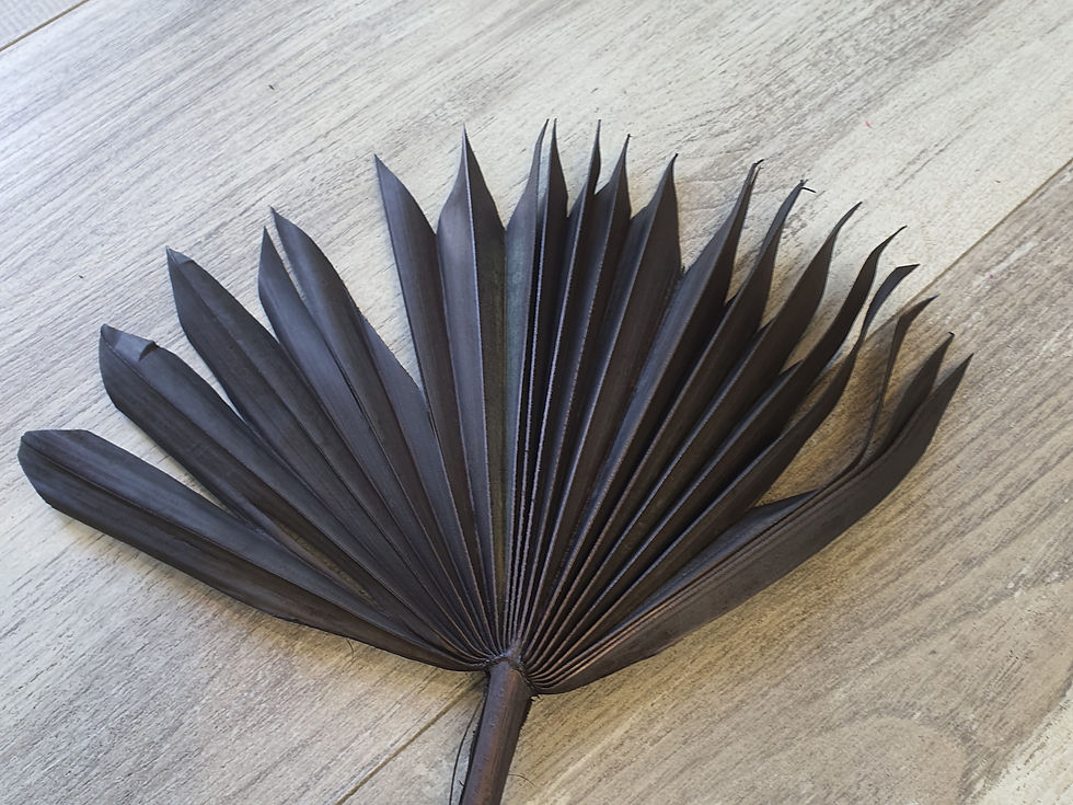 Sun Palm Medium Black (x50)