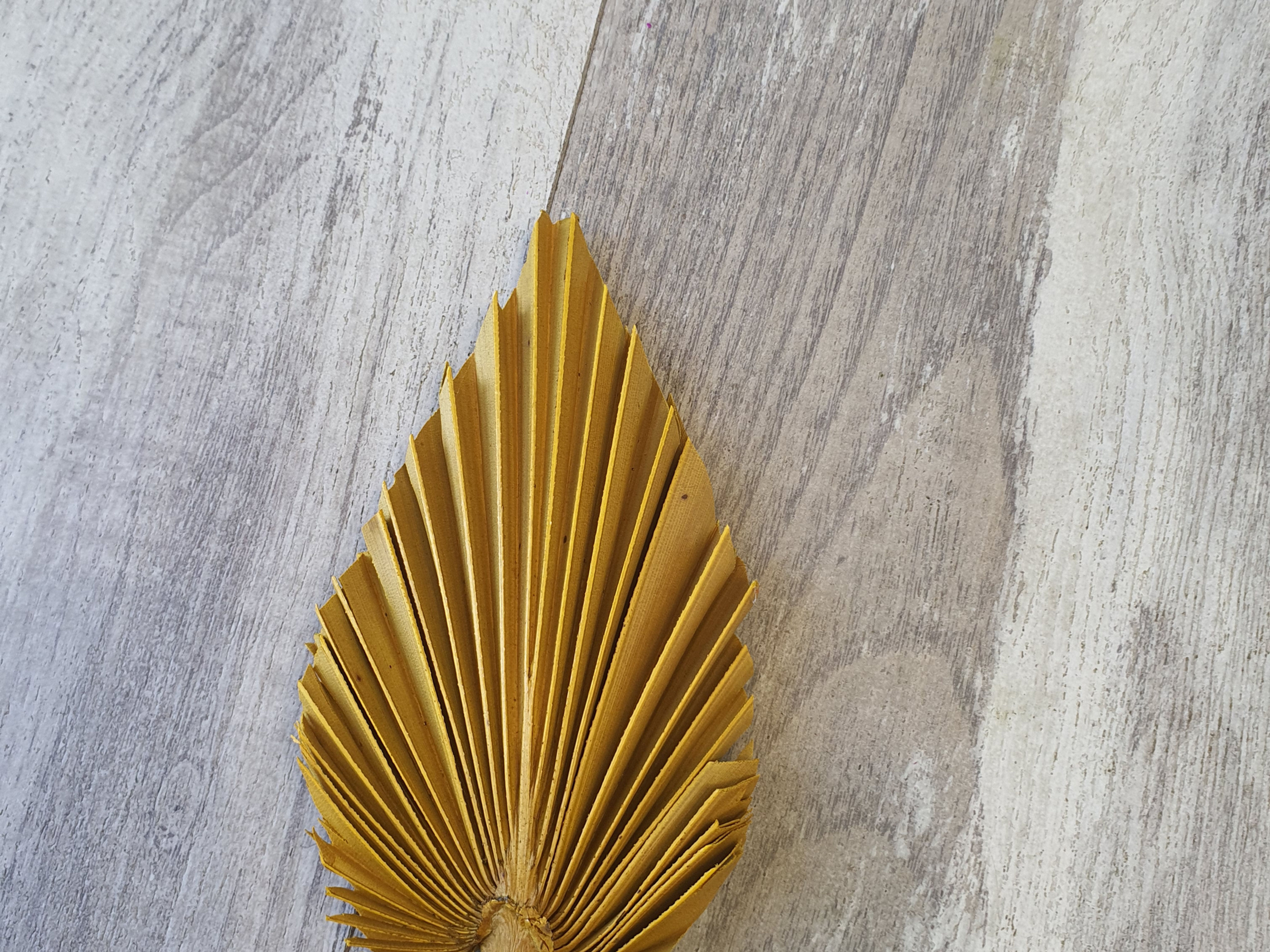 Box of 650pcs Palm Spear Medium Yellow/Gold