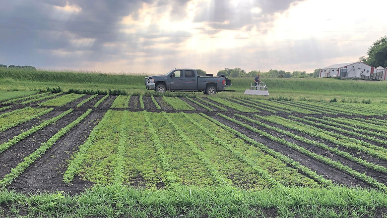06-08-2020 Weed Pressure_Bike Sprayer NG