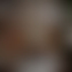 Where History Learns to Breathe Again Inside Saint Petersburg’s Evgenievsky Quarter