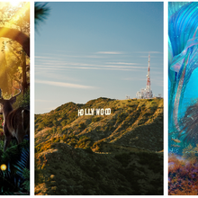 Hollywood’s New Battleground