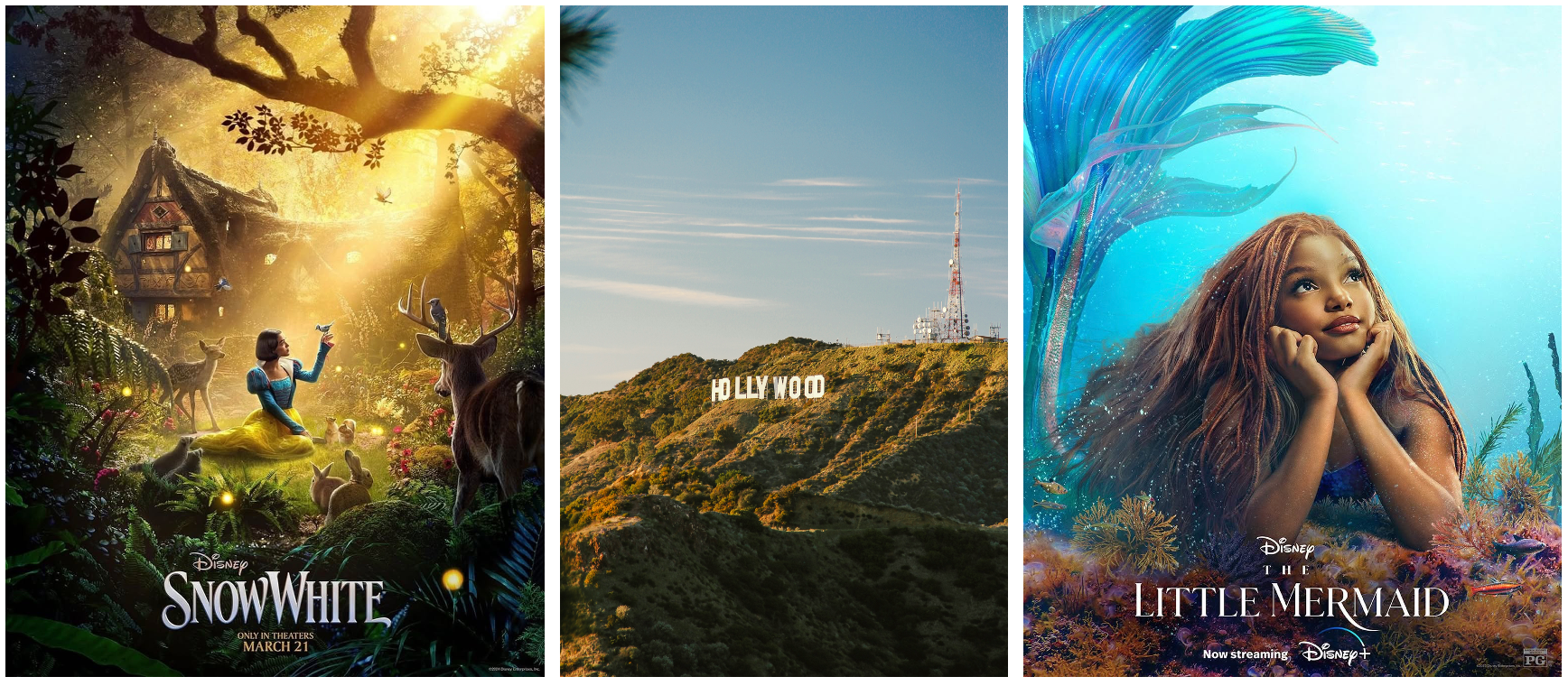 Hollywood’s New Battleground