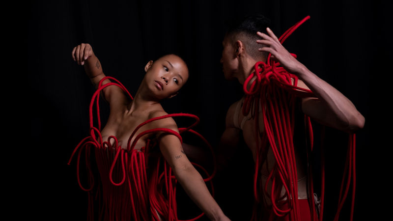 Interview with Makiko Harris, the artist behind the bold underwater film and multimedia exhibition ‘Needle Dan