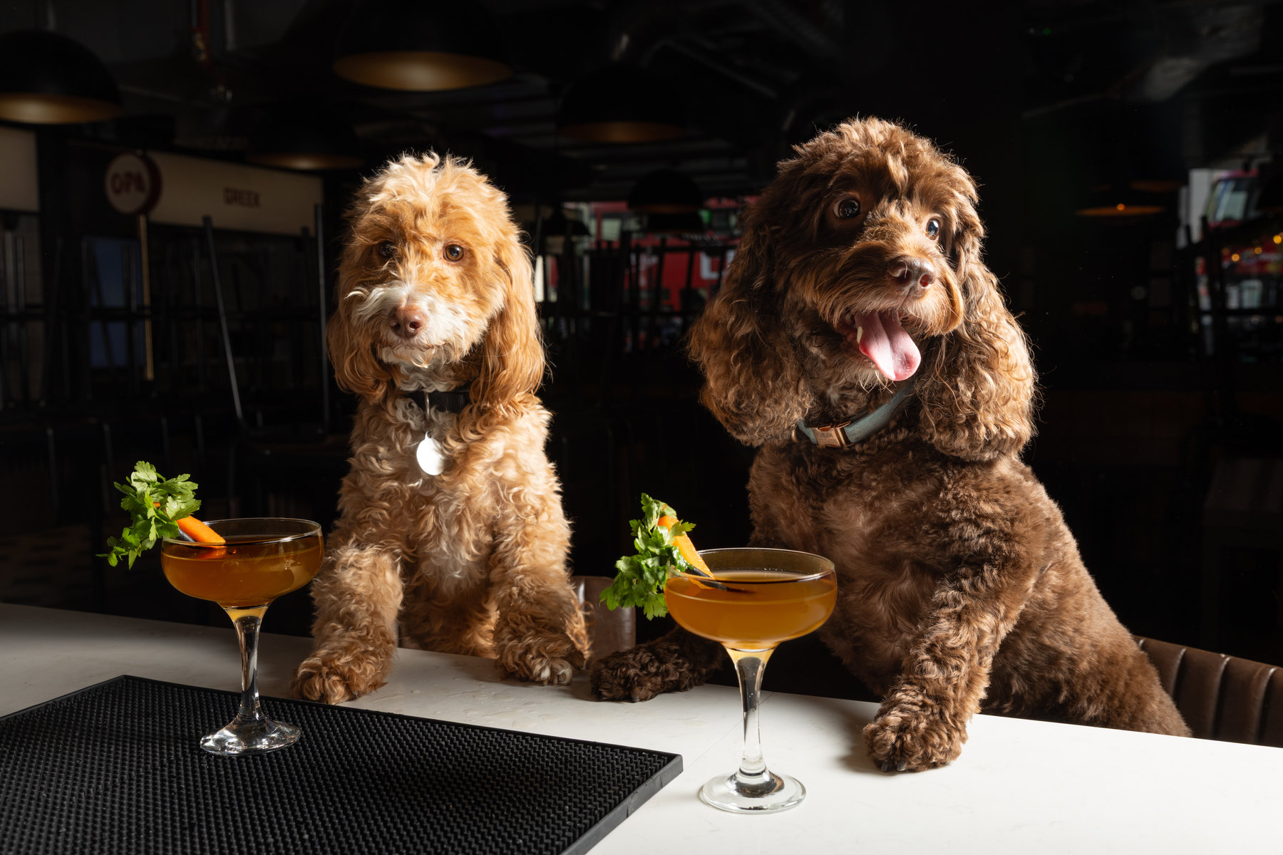 Canine Cocktails: Exclusive Free Pet Menu For London Dog-tail Week At Market Place Food Hall St Pauls & Vauxha