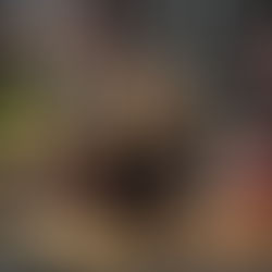 Snap Fitness Wants Britain’s Gym Floor To Lead Straight To The Mud