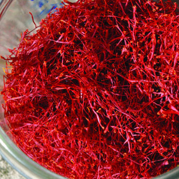 Red Gold in Provence: Inside the Quiet Luxury of Saffron Season at Lou Calen