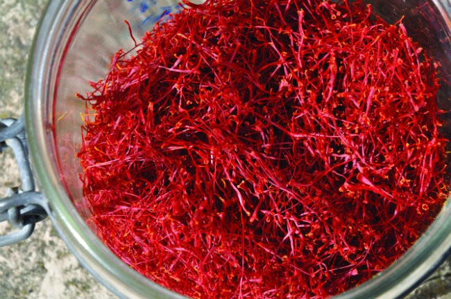 Red Gold in Provence: Inside the Quiet Luxury of Saffron Season at Lou Calen