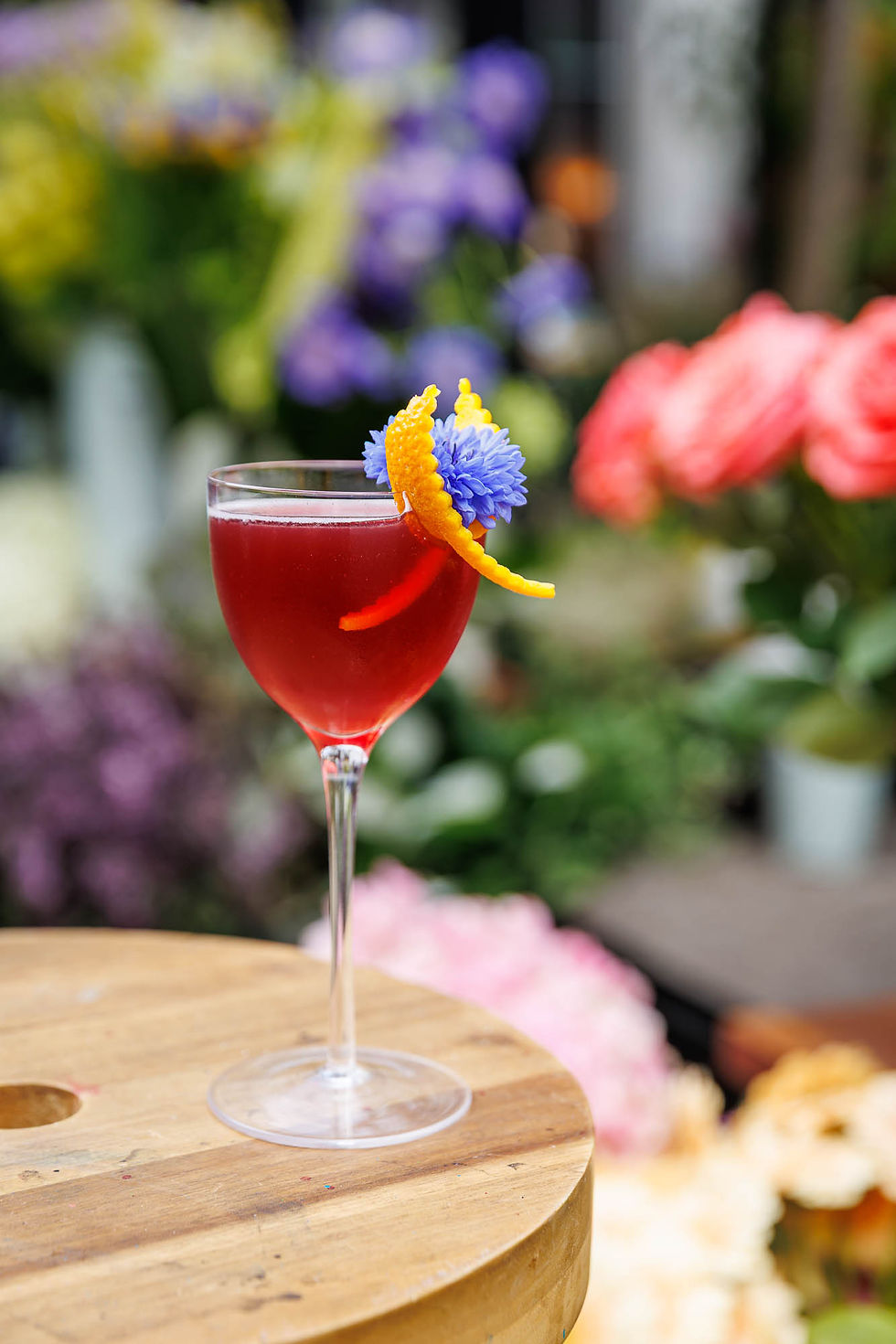 Bluebird Chelsea