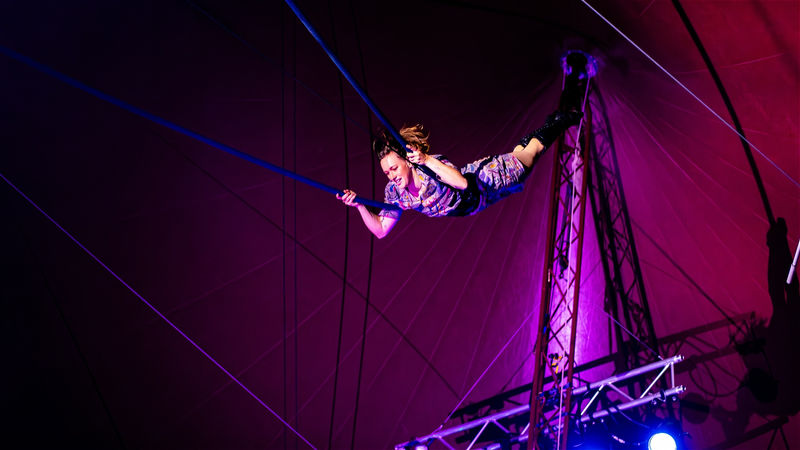 Behind the Big Top: The Creative Forces of Circus Show “Nose Dive Assembly” at the Brighton Fringe