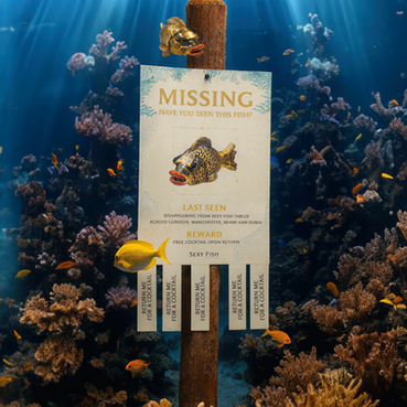 Sexy Fish Hooks Guests with a Clever Catch: The ‘Missing Fish’ Campaign