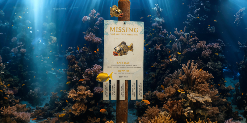 Sexy Fish Hooks Guests with a Clever Catch: The ‘Missing Fish’ Campaign
