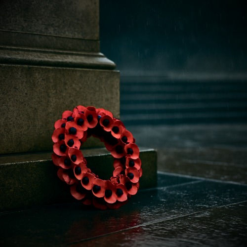 The Hidden Politics of the Poppy: Britain’s Contest of Care