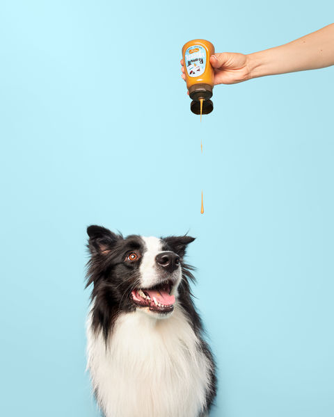 The Ulti-Mutt Treat For Your Dog Just Got Squeezier - Peamutt Butter