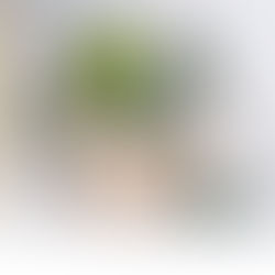 Stop Killing Your Houseplants: The £35 Smart Sensor That Finally Tells You Exactly What Your Plants Need