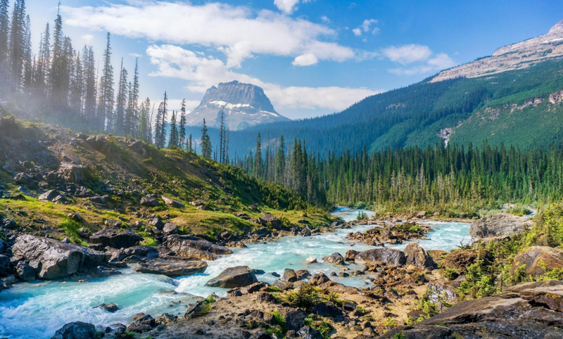 Exploring National Parks: What You Need to Know