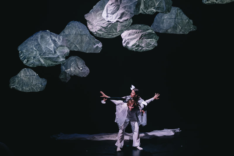 Soaring Beyond Imagination: Skydiver, A Mesmerising Journey Through the Skies