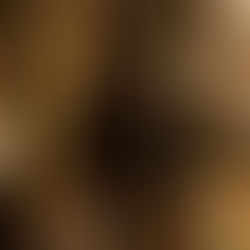 The Roost Steps Off Screen And Into Borough Yards