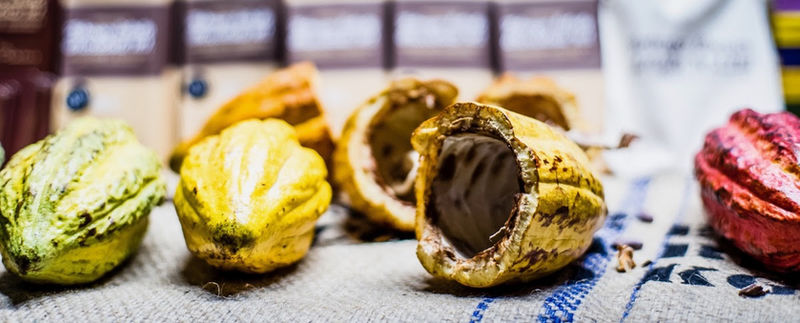 Chocolate Unwrapped: An Immersive Exploration of Chocolate