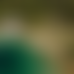 Brioni Islands: Inside the Mythical Adriatic Archipelago That Time Forgot