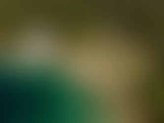 Brioni Islands: Inside the Mythical Adriatic Archipelago That Time Forgot