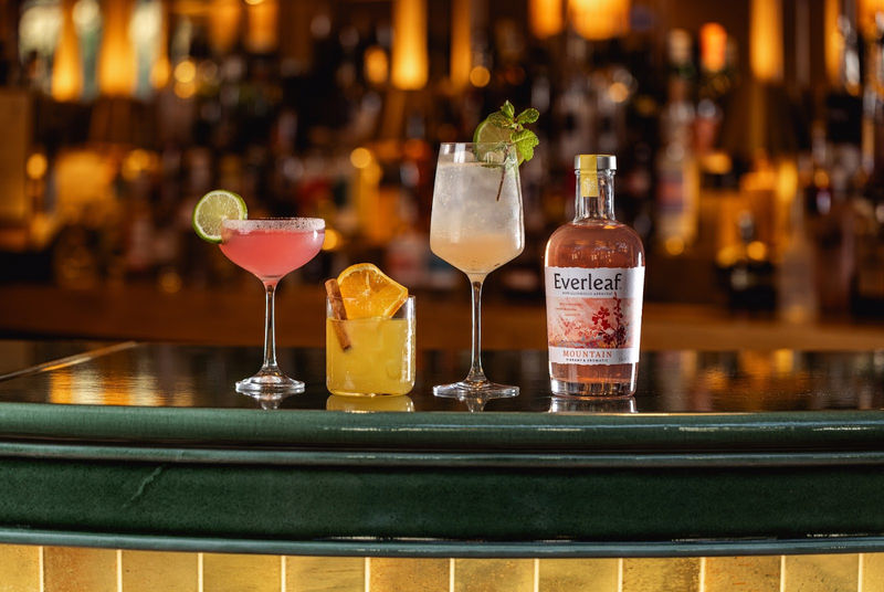 Dry January with EVE x Everleaf