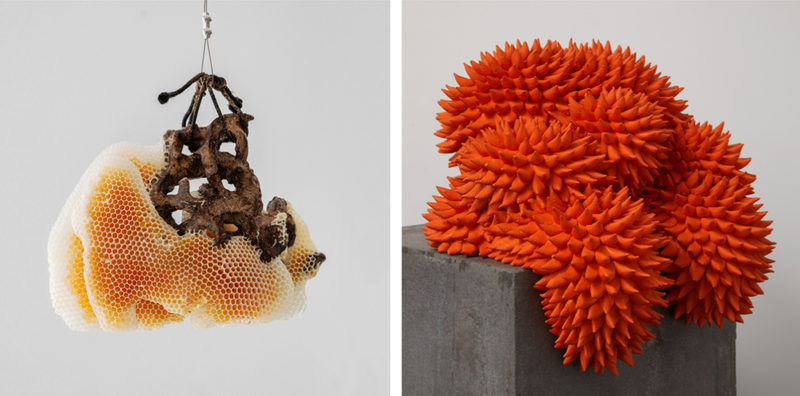 Ceramic Brussels 2025 | A Window Into The World Of Ceramics, Uniting Contemporary Innovators, Past Masters, An