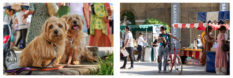 WHAT TO DO IN OCTOBER: 'Chelsea Dog Day' supporting Pets As Therapy