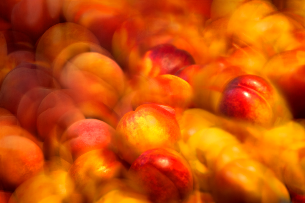 Venice Kitchen: Nectarines
