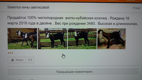 ЧС 2.jpeg
