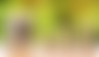 5 consejos prácticos para mejorar tu salud financiera