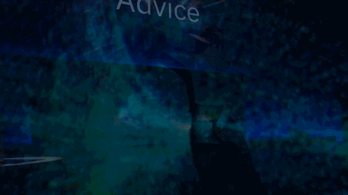 amplify-video1.gif