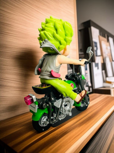 Bike Rider Zoro figure | kpopsensei