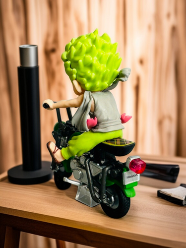 Bike Rider Zoro figure | kpopsensei