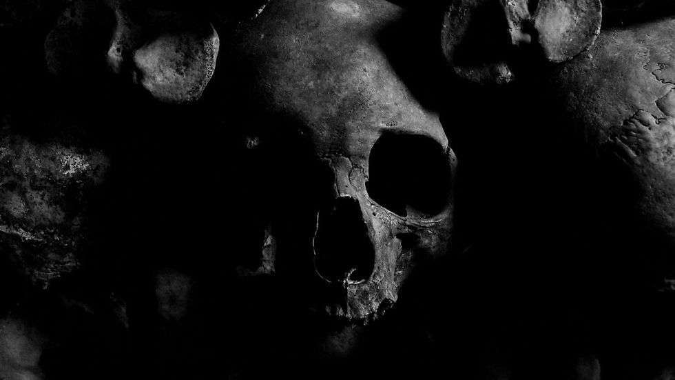 A grey skull in a dark background