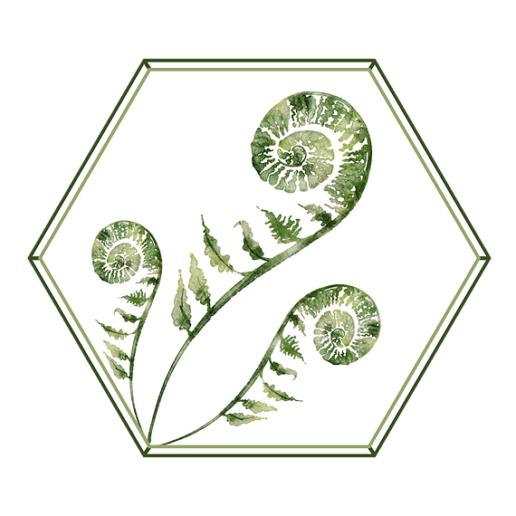 Team Birthhood Logo (Image Only) Transp.png