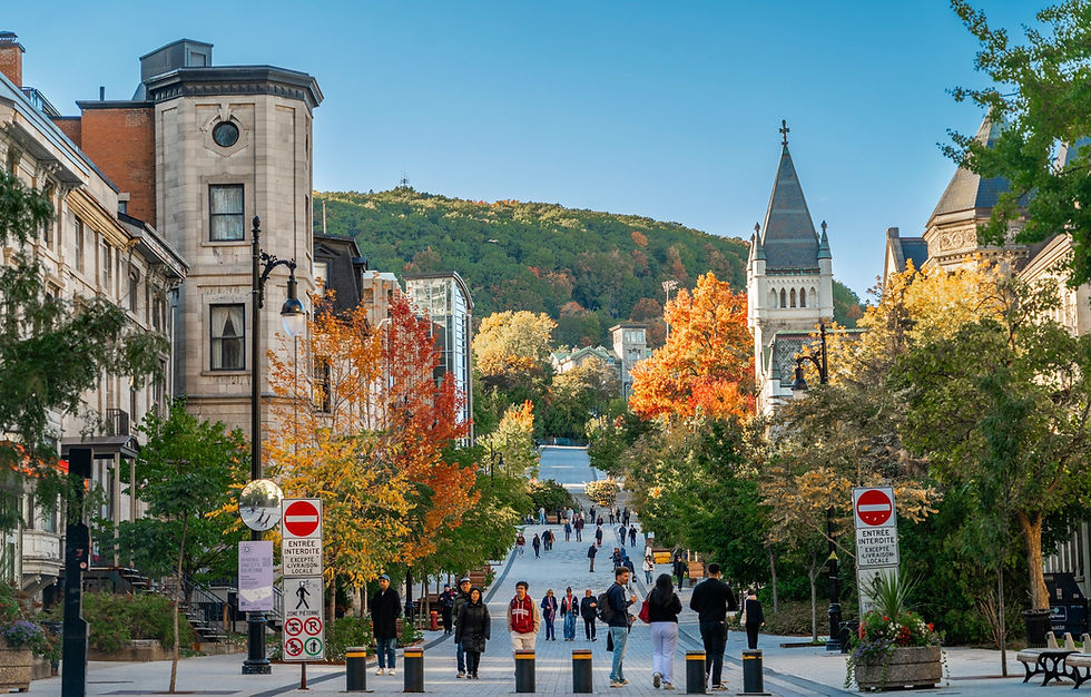 恭喜🎉学生被麦吉尔大学 Biological, Biomedical and Life Sciences 录取 🎉🎉🎉