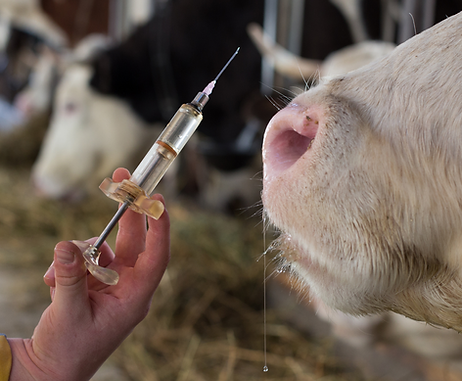 Bir alt başlık ekleyin - 2025-07-21T174036.090.png