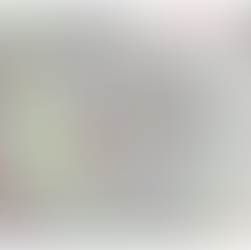 Viyana Noel Pazarı Rehberi