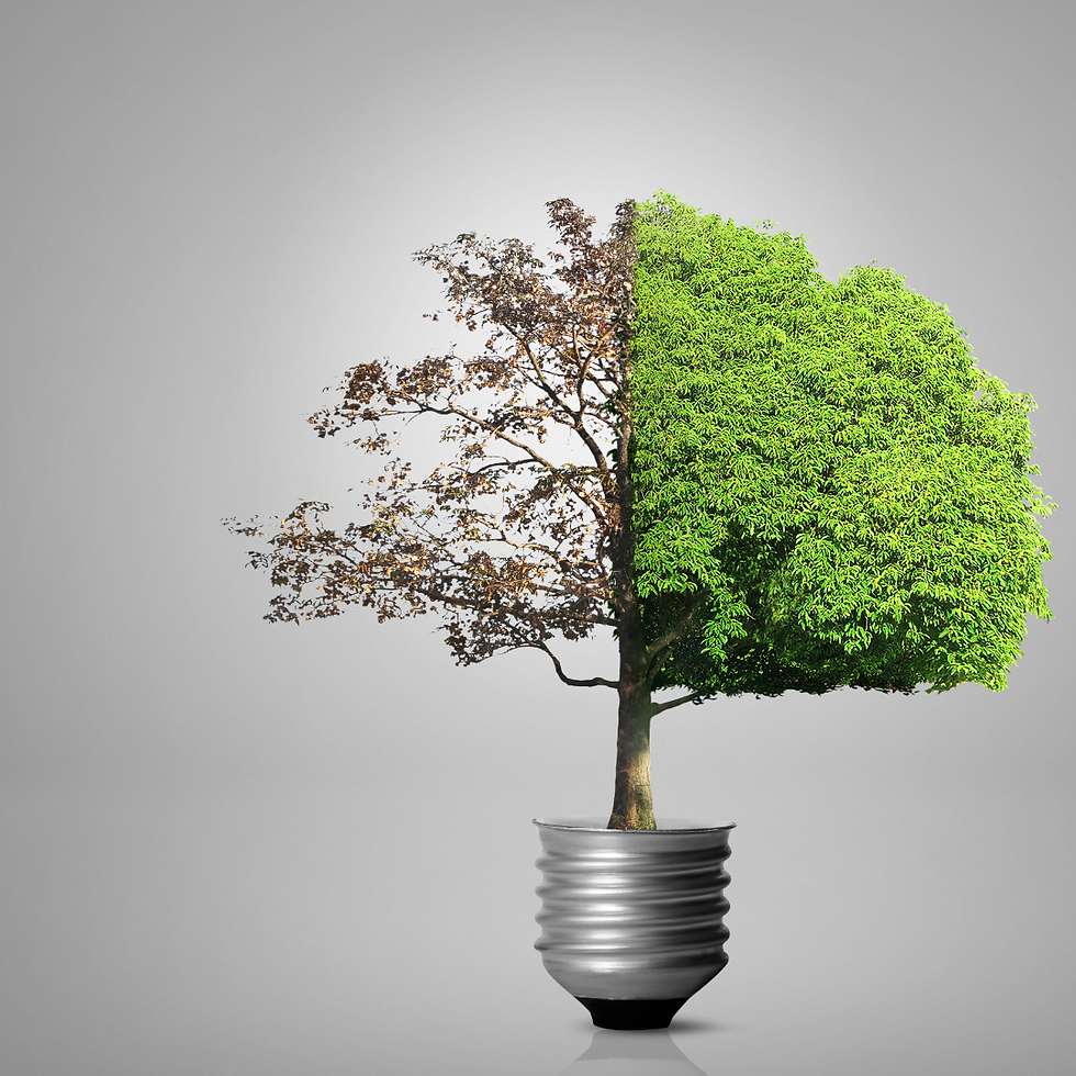 Evlerde Elektrik Tasarrufu İstanbul