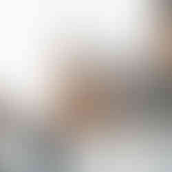 Viyana Noel Pazarı Rehberi