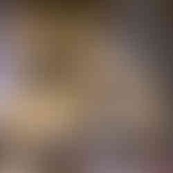 Viyana Noel Pazarı Rehberi