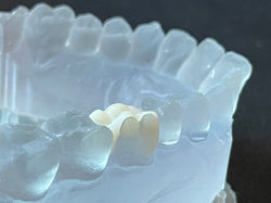 Home Nurse Making Bed