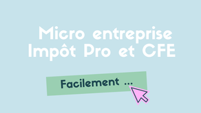5. MICRO ENTREPRISE : IMPÔTS PRO,  CFE & TVA sans bla bla 